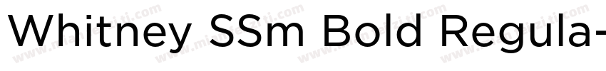 Whitney SSm Bold Regula字体转换
